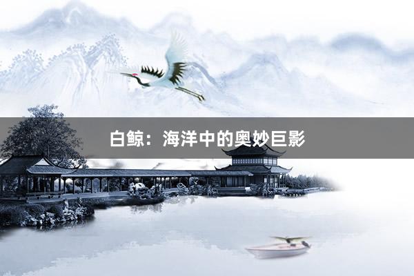 白鲸:海洋中的奥妙巨影