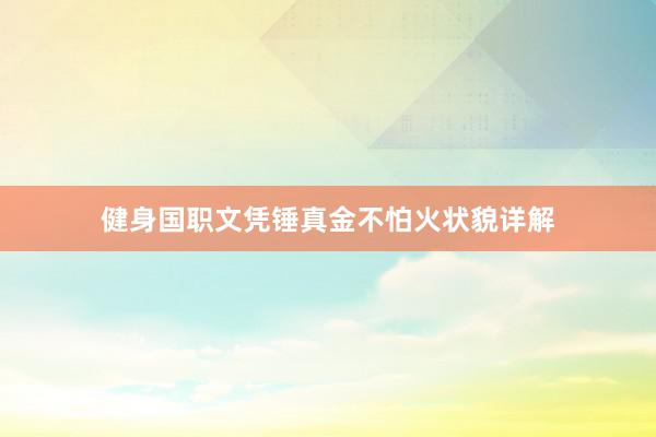 健身国职文凭锤真金不怕火状貌详解